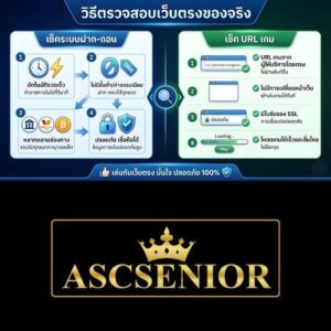 อินโฟกราฟิกแนะนำวิธีตรวจสอบเว็บตรงของจริง เช็คระบบฝากถอนและ URL เกม